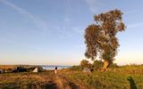 Zdjęcie komentarza