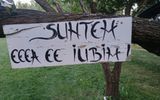 Zdjęcie komentarza