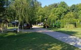 Zdjęcie komentarza