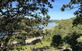 Zdjęcie komentarza