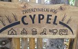 Zdjęcie komentarza