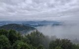 Zdjęcie komentarza