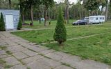 Zdjęcie komentarza