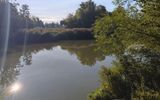 Zdjęcie komentarza