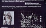 Zdjęcie komentarza
