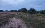 Zdjęcie komentarza